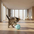 Sora automatic cat ball toy on white background