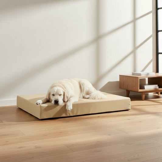 Terra Rectangle Dog Bed - lifestyle photo with pet using the product