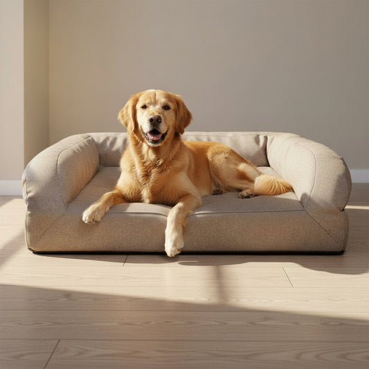 Atlas Rectangle Bolster Dog Bed - in-use lifestyle photo, real-world setting
