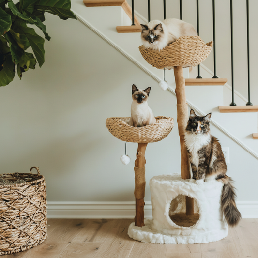 Premium cat tree detail view - heavy duty cat furniture with reinforced platforms for large breeds