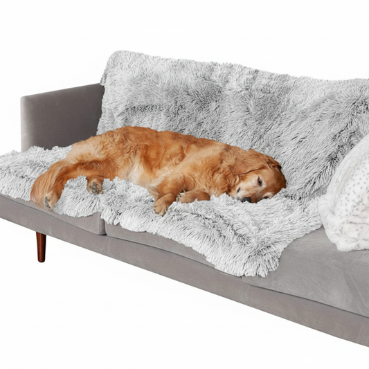Dog lying on a fluffy gray pet bed with a white background