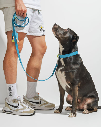 Sano Durable Dog Collar - All-Weather & Odor-Resistant Collar