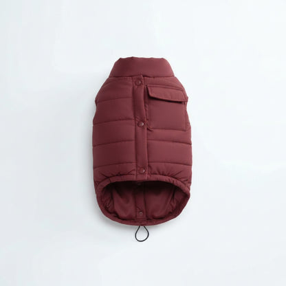 Vero water-resistant dog jacket in crimson on white background