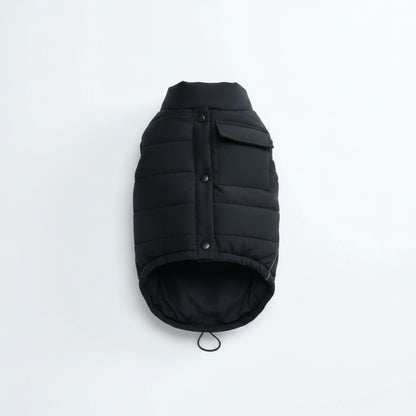 Vero water-resistant dog jacket in black on white background