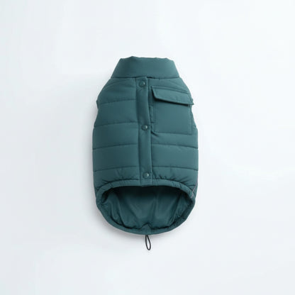 Vero water-resistant dog jacket in teal on white background