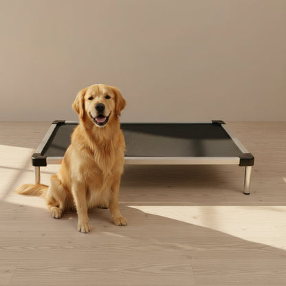 Summit Elevated Dog Bed - lifestyle photo with pet using the product