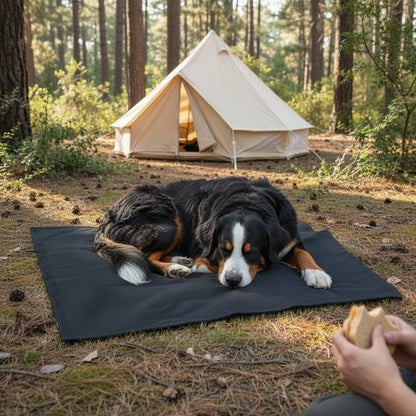 Roam Portable Dog Tarp - in-use lifestyle photo, real-world setting