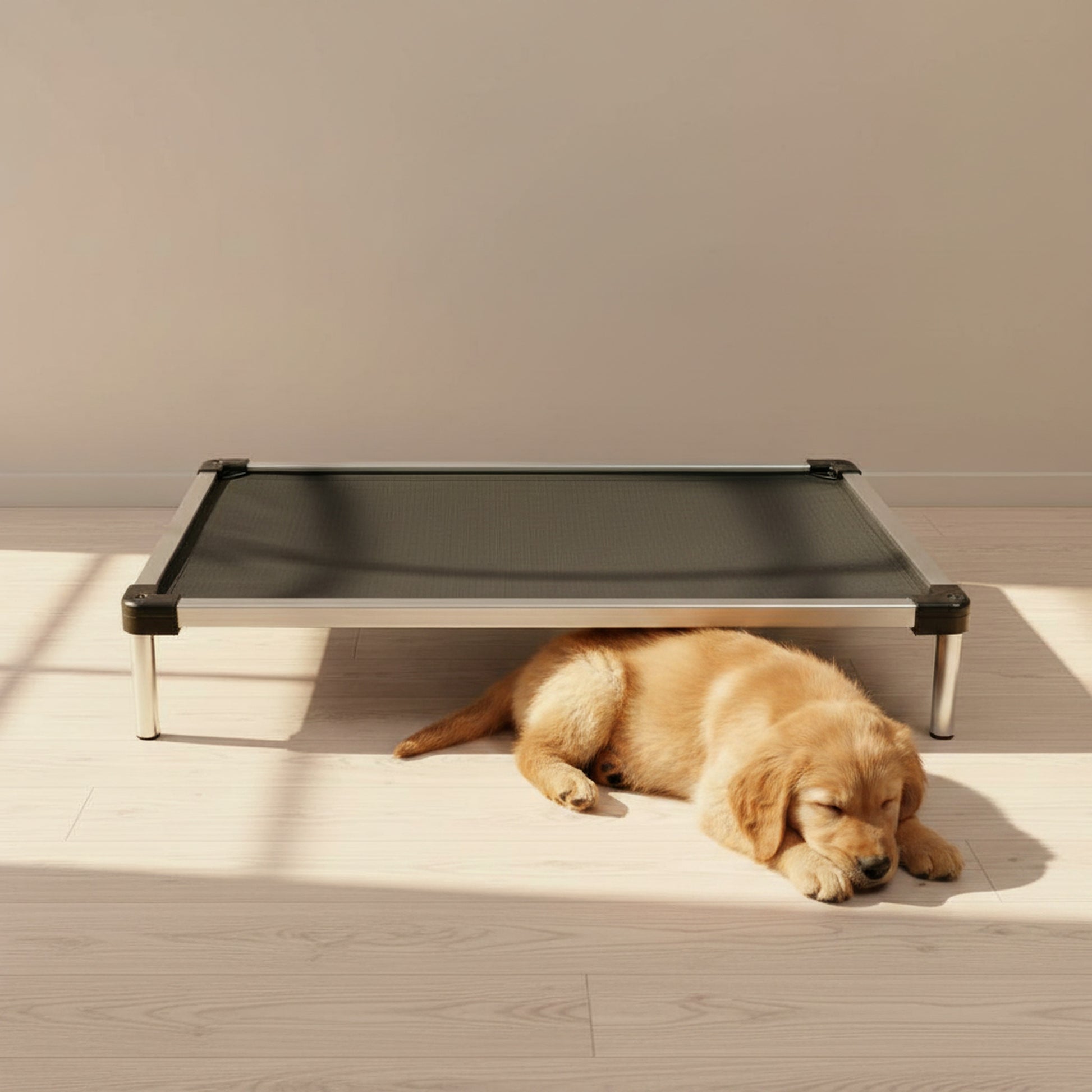 Summit Elevated Dog Bed - in-use lifestyle photo, real-world setting
