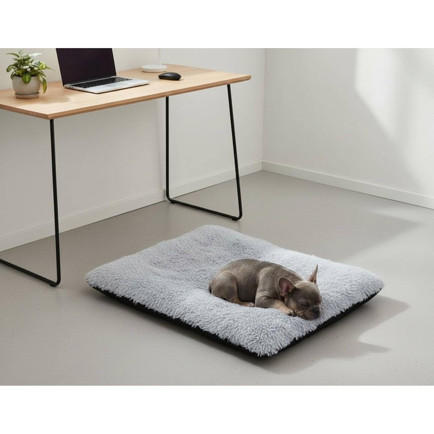 Teso Faux Fur Pet Bed - Washable Home & Travel Mat - in-use lifestyle photo, real-world setting