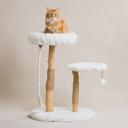 Cat tree tower 32 inches tall with multi-level perches and sisal scratching posts - modern design