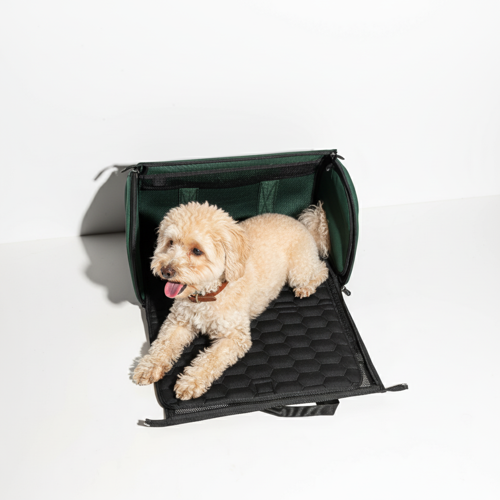 Dog sitting in a green pet carrier on a white background