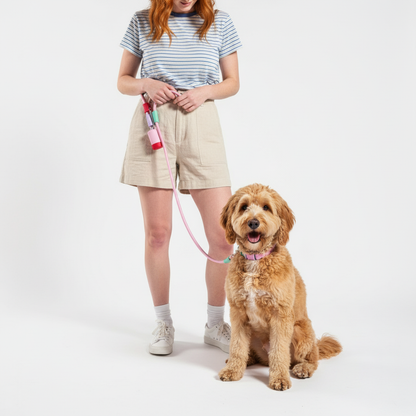 Person with a dog on a leash against a white background