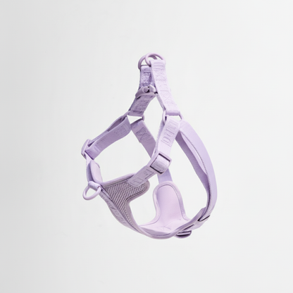 Purple dog harness on a light gray background