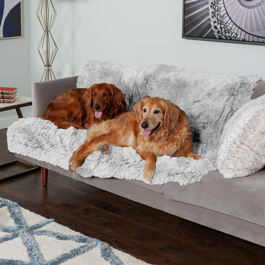 Two dogs lying on a fluffy blanket on a couch in a living room.