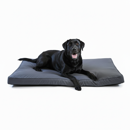 Chew-resistant dog bed with waterproof protection - premium memory foam for large breeds