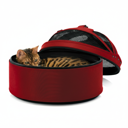 Pet resting in 3-in-1 travel bed - ultra-plush comfort for stress-free travel
