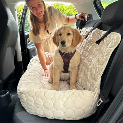 Dog comfortably positioned in temperature-regulating car bed with raised edges for safety
