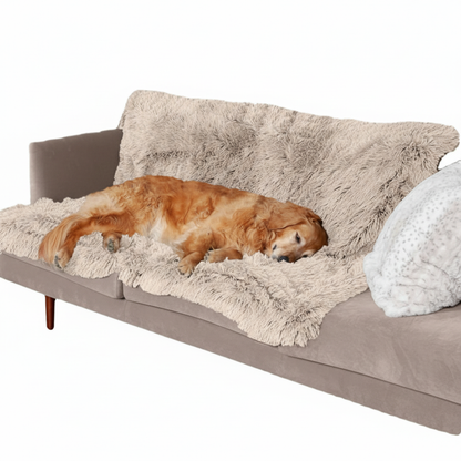 Golden Retriever lying on a pet blanket protecting furniture 