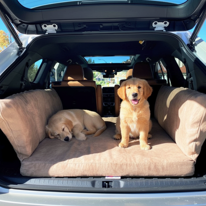 Two Golden Retriever puppies sitting in a Travel dog bed installed in SUV cargo area with non-slip bottom
