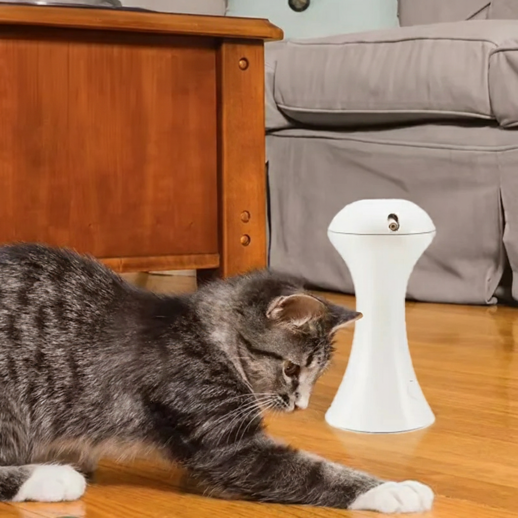 Aris Cat Laser Toy — multiple laser beams moving simultaneously