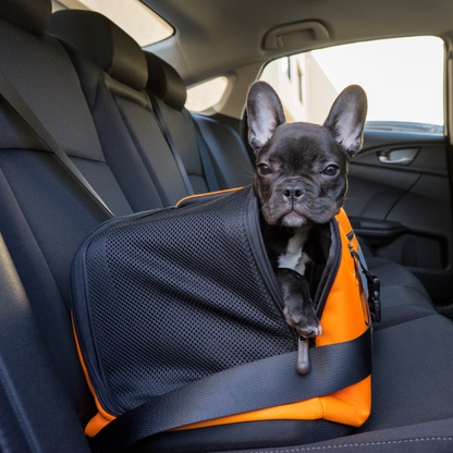 Ayla Pet Carrier — maximum ventilation