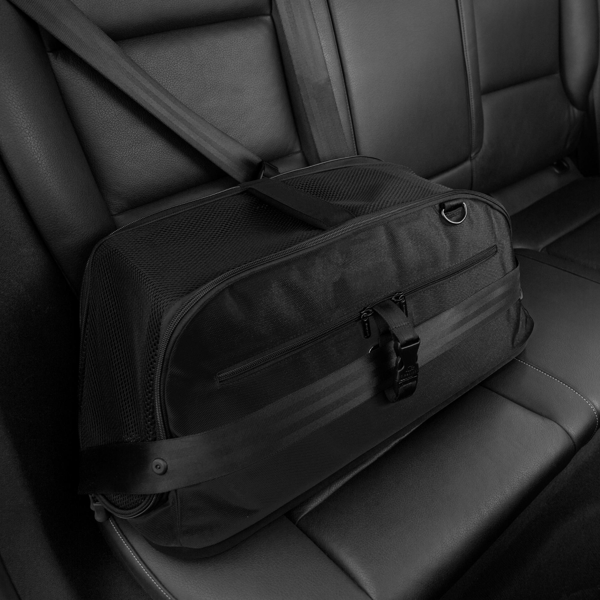 Ayla Pet Carrier — multiple entry points