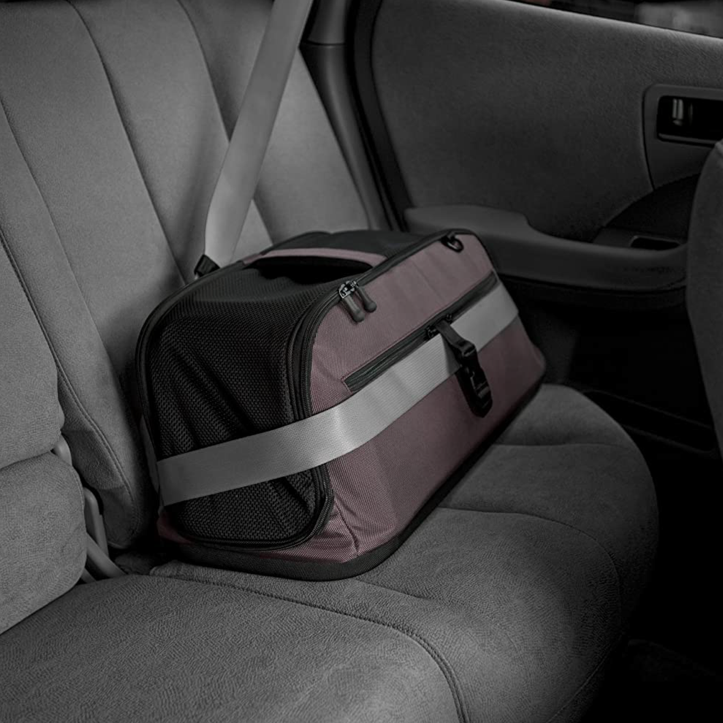Ayla Pet Carrier — hands-free carrying