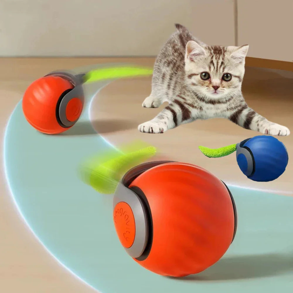 Cavo Cat Ball Toy — self-rolling and automatic