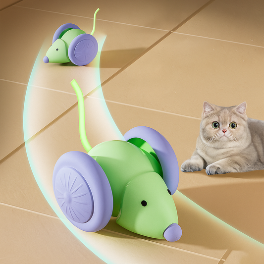 Covo Cat Toy — USB rechargeable built-in battery