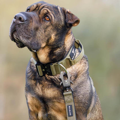 Kato Tactical Dog Collar — built-in top handle