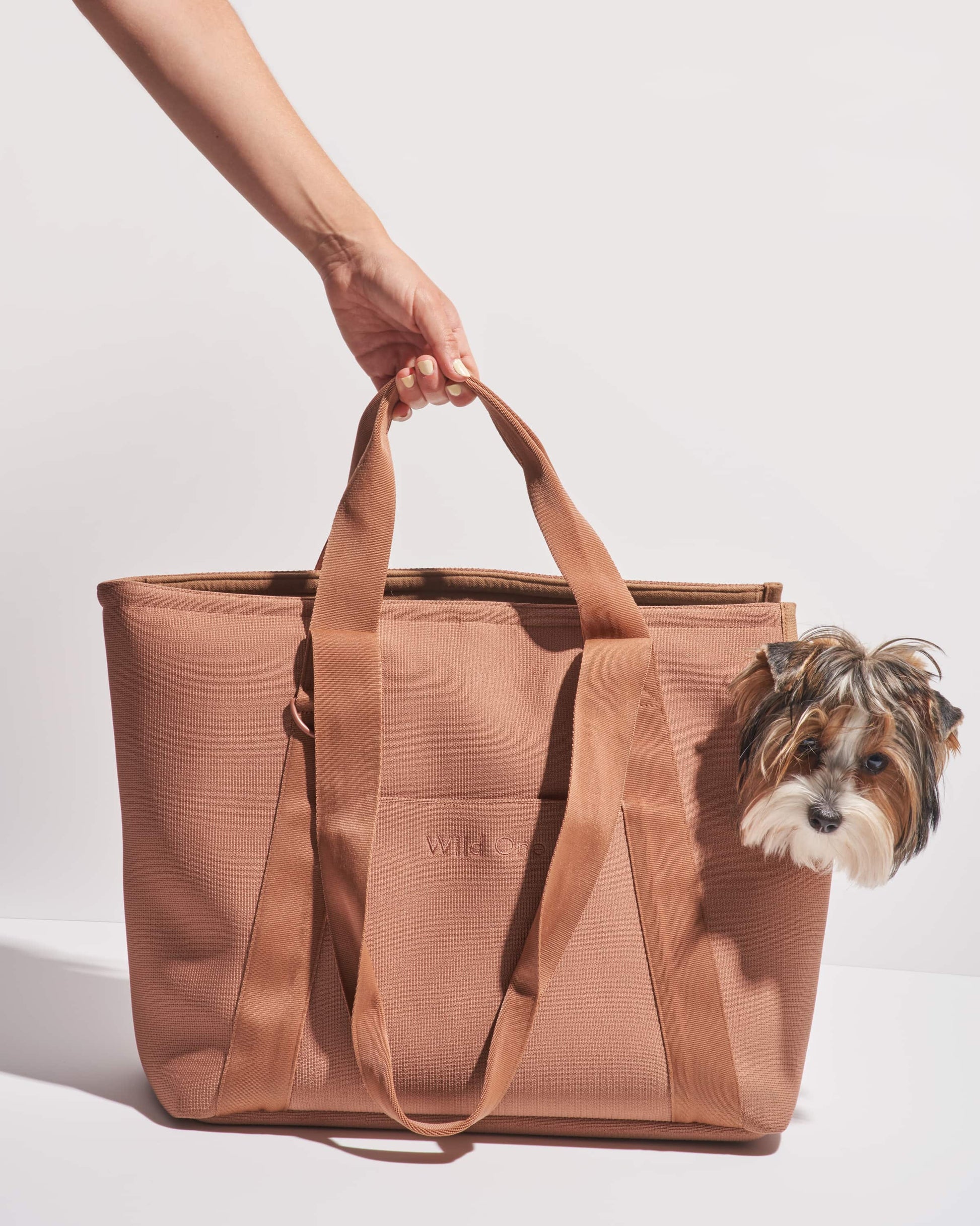 Lano Dog Carrier Tote — machine washable removable mat