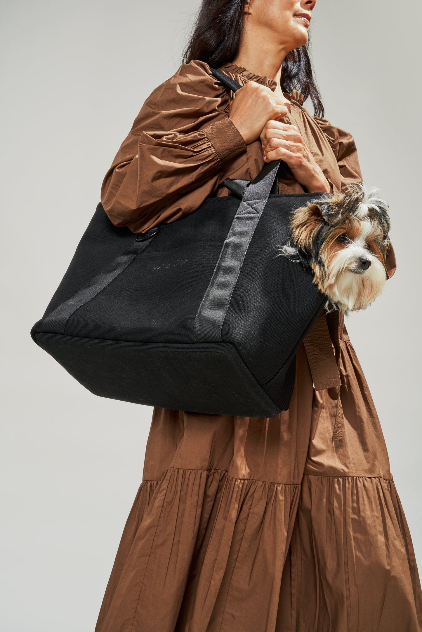 Lano Dog Carrier Tote — machine washable removable mat