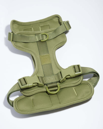 Lira Cushioned Dog Harness — fully adjustable at the neck, chest, and back
