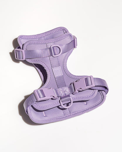Lira Cushioned Dog Harness — fully adjustable at the neck, chest, and back