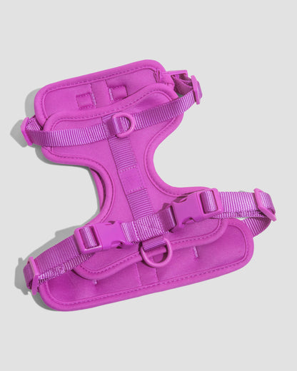 Lira Cushioned Dog Harness — quick-release buckles at neck and chest