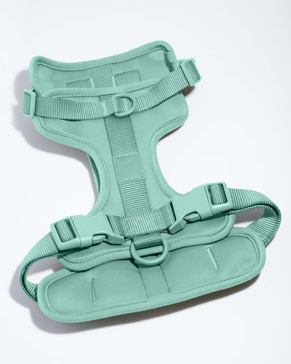 Lira Cushioned Dog Harness — 3 leash attachment points