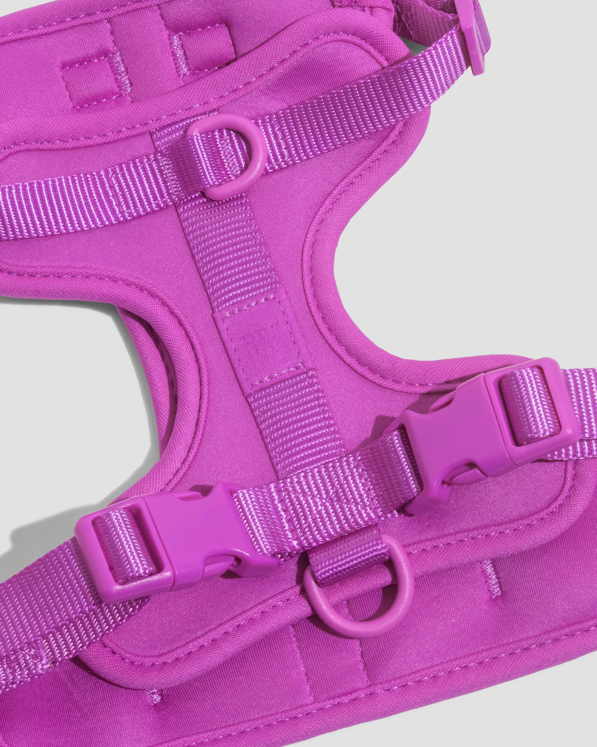 Lira Cushioned Dog Harness — cushioned soft padded construction
