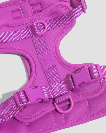 Lira Cushioned Dog Harness — cushioned soft padded construction