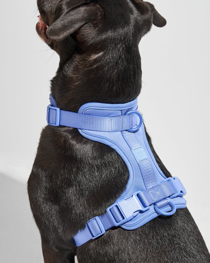 Lira Cushioned Dog Harness — quick-release buckles at neck and chest