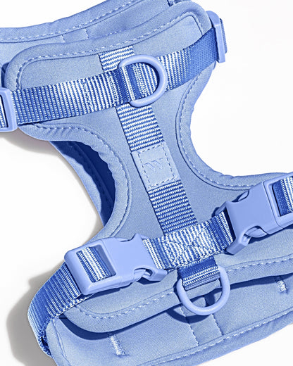 Lira Cushioned Dog Harness — 3 leash attachment points