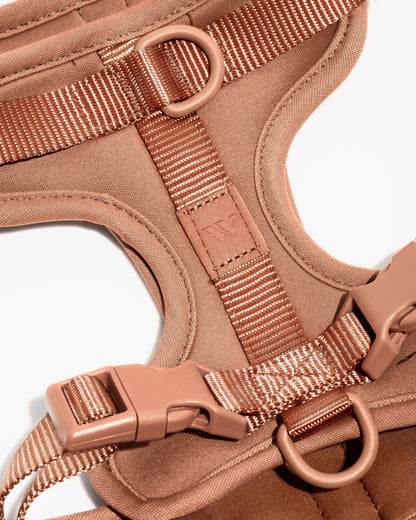 Lira Cushioned Dog Harness — cushioned soft padded construction