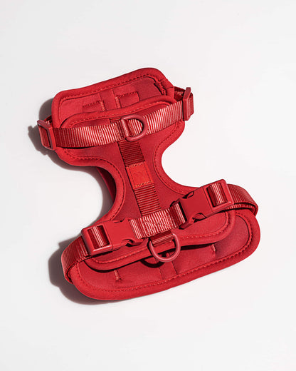 Lira Cushioned Dog Harness — fully adjustable at the neck, chest, and back