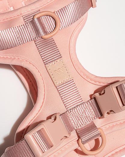 Lira Cushioned Dog Harness — cushioned soft padded construction