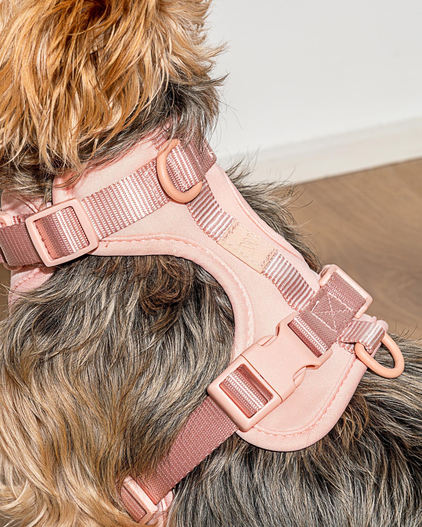 Lira Cushioned Dog Harness — fully adjustable at the neck, chest, and back