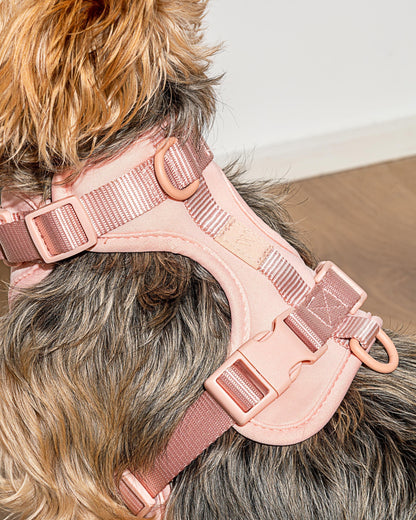 Lira Cushioned Dog Harness — fully adjustable at the neck, chest, and back