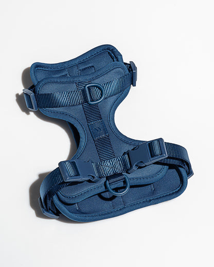 Lira Cushioned Dog Harness — cushioned soft padded construction