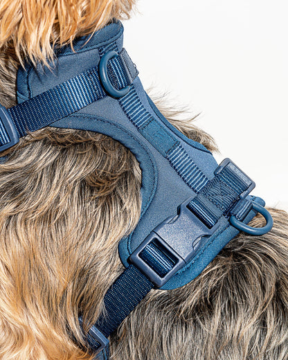 Lira Cushioned Dog Harness — quick-release buckles at neck and chest