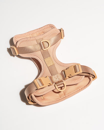 Lira Cushioned Dog Harness — 3 leash attachment points