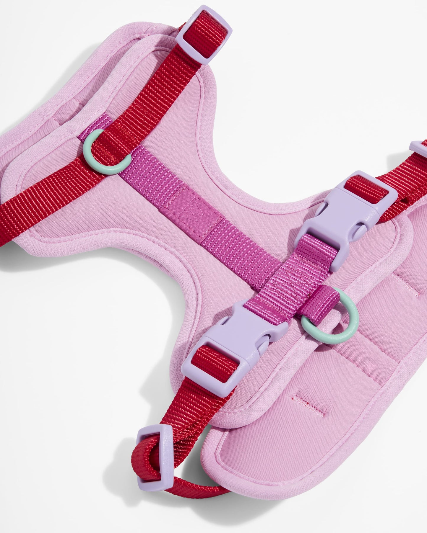 Lira Cushioned Dog Harness — 3 leash attachment points