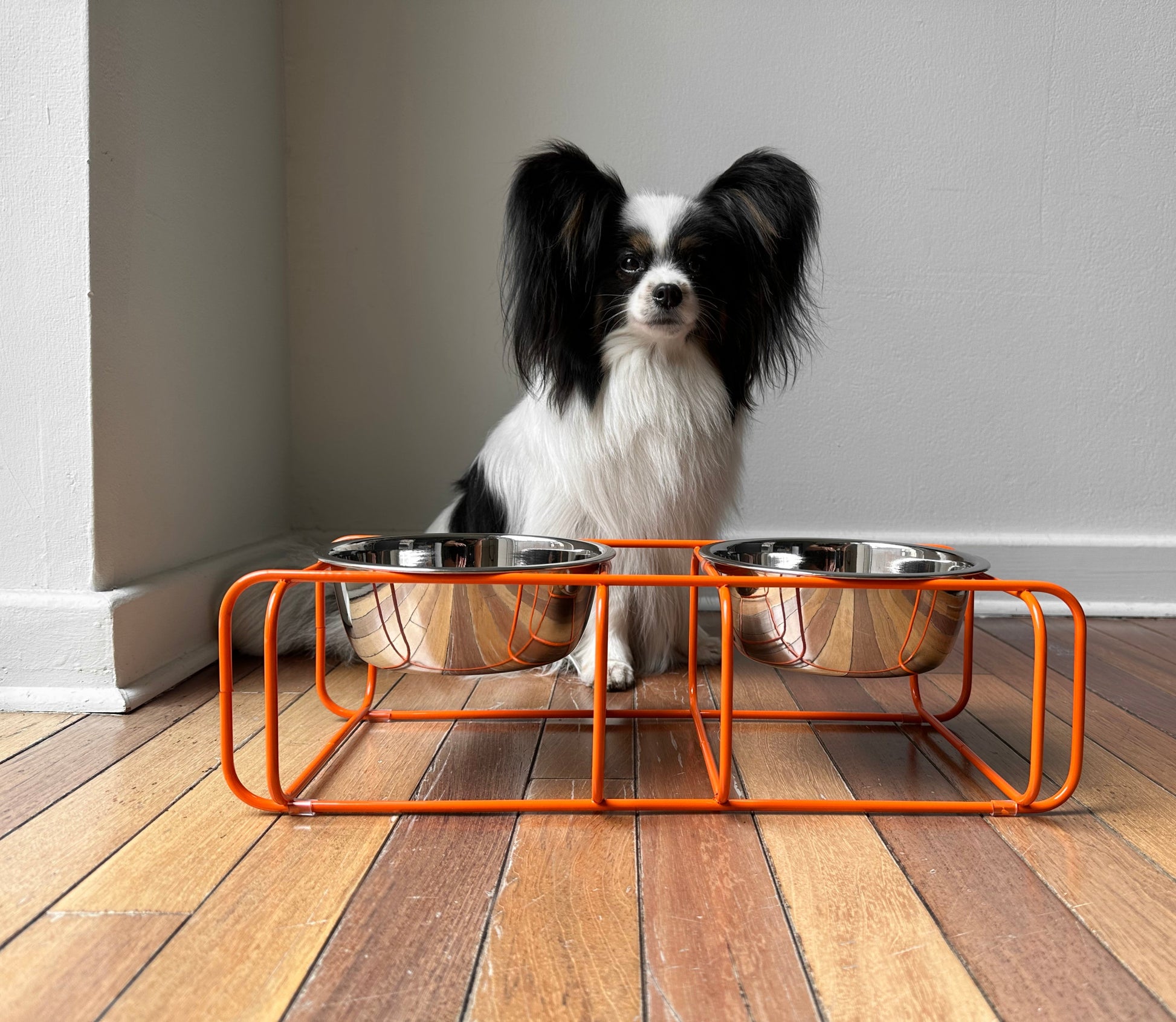 Lunae Elevated Dog Feeder — heavy-weight stainless steel bowls